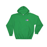 MLS Hooded Sweatshirt (EU Shipping!)