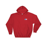 MLS Hooded Sweatshirt (EU Shipping!)